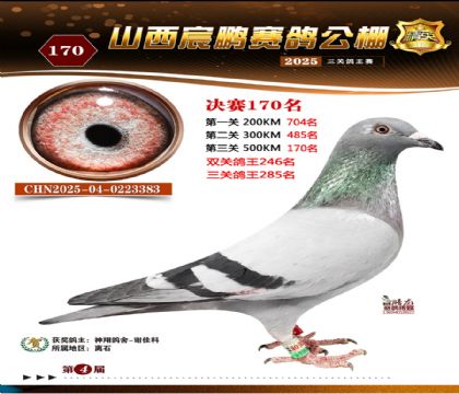 ɽ����i�Qِ170��