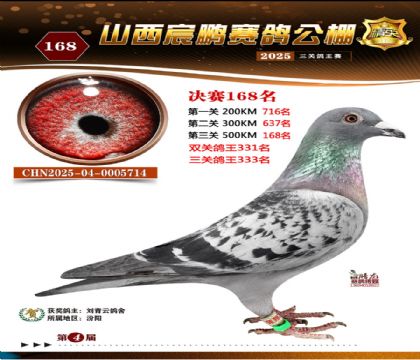 ɽ����i�Qِ168��