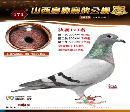 ɽ����i�Qِ171��