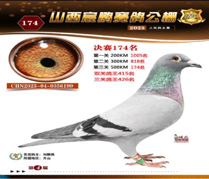 ɽ����i�Qِ174��