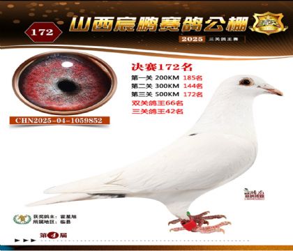 ɽ����i�Qِ172��