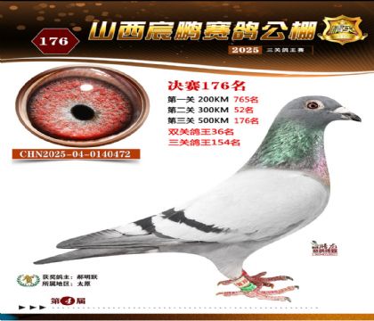 ɽ����i�Qِ176��