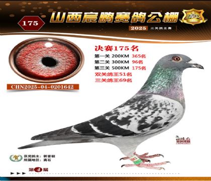 ɽ����i�Qِ175��