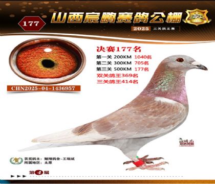 ɽ����i�Qِ177��