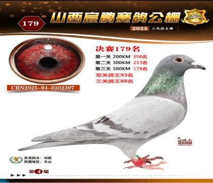 ɽ����i�Qِ179��