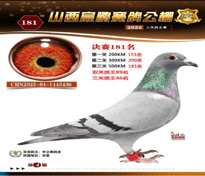 ɽ����i�Qِ181��