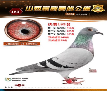 ɽ����i�Qِ183��