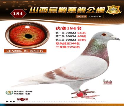 ɽ����i�Qِ184��