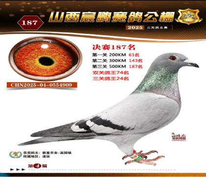 ɽ����i�Qِ187��