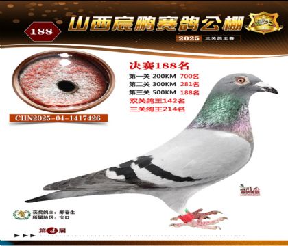 ɽ����i�Qِ188��