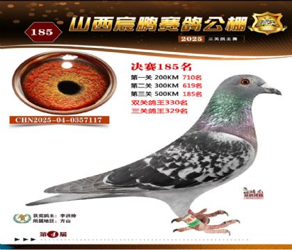 ɽ����i�Qِ185��