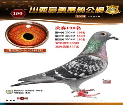 ɽ����i�Qِ190��