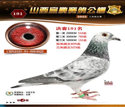 ɽ����i�Qِ191��