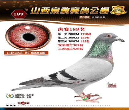 ɽ����i�Qِ189��