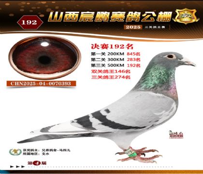 ɽ����i�Qِ192��