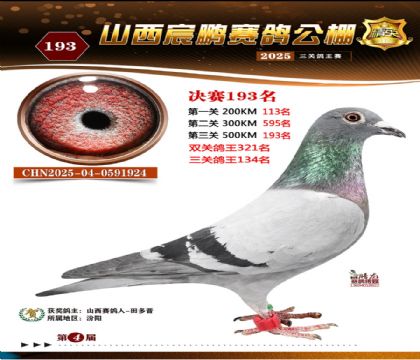 ɽ����i�Qِ193��