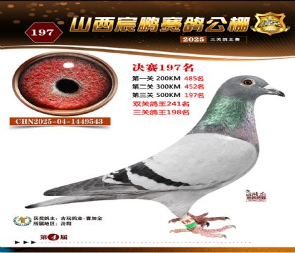 ɽ����i�Qِ197��