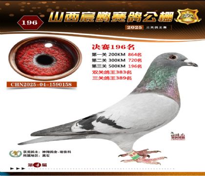 ɽ����i�Qِ196��