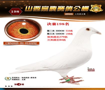 ɽ����i�Qِ198��