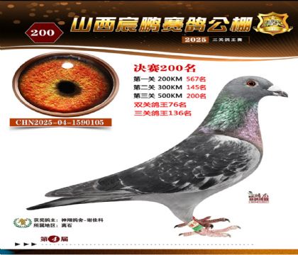 ɽ����i�Qِ200��