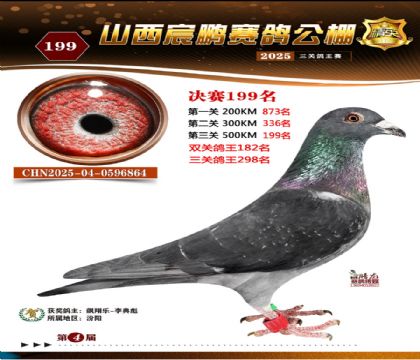 ɽ����i�Qِ199��