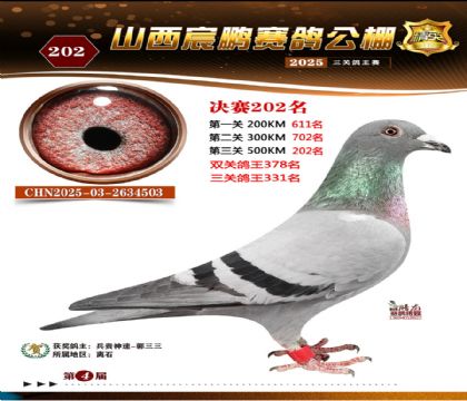 ɽ����i�Qِ202��