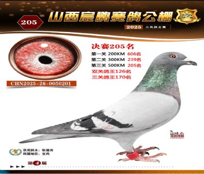 ɽ����i�Qِ205��