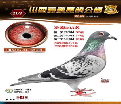 ɽ����i�Qِ203��