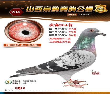 ɽ����i�Qِ204��