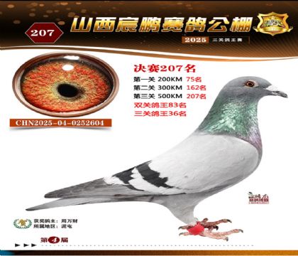 ɽ����i�Qِ207��