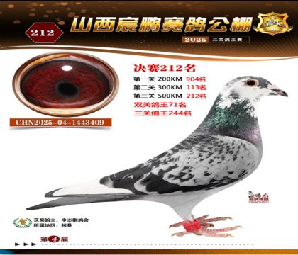 ɽ����i�Qِ212��