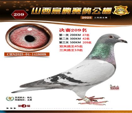 ɽ����i�Qِ209��