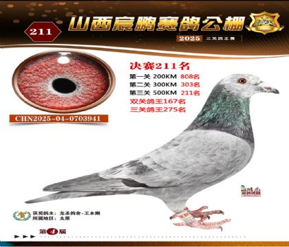 ɽ����i�Qِ211��