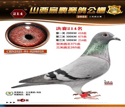 ɽ����i�Qِ214��