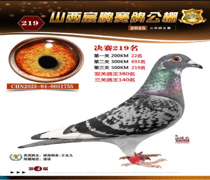 ɽ����i�Qِ219��