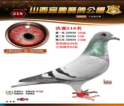 ɽ����i�Qِ218��