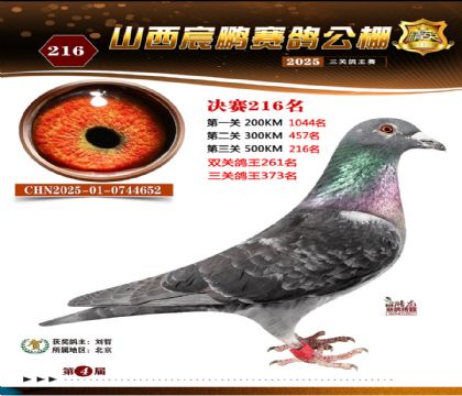 ɽ����i�Qِ216��