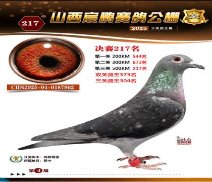 ɽ����i�Qِ217��