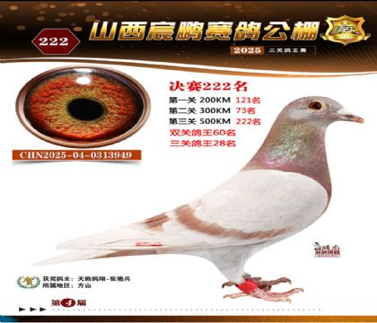 ɽ����i�Qِ222��