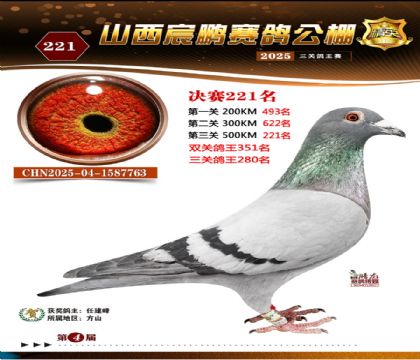 ɽ����i�Qِ221��