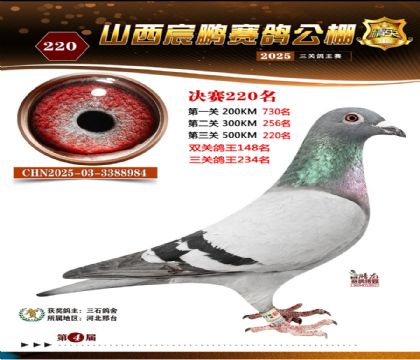 ɽ����i�Qِ220��