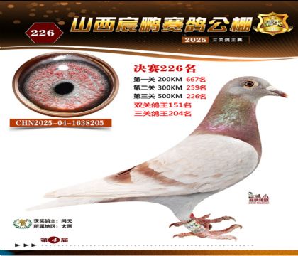 ɽ����i�Qِ226��