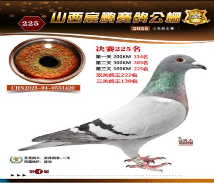 ɽ����i�Qِ225��