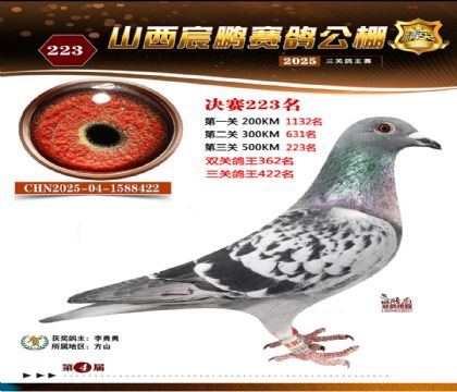 ɽ����i�Qِ223��