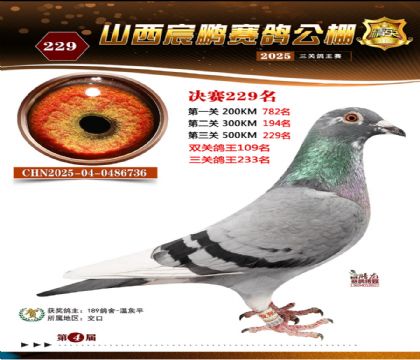 ɽ����i�Qِ229��