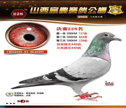 ɽ����i�Qِ228��