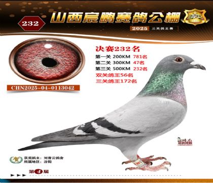 ɽ����i�Qِ232��