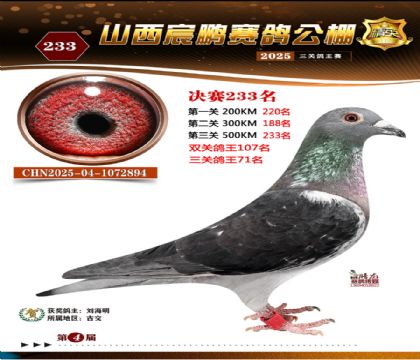 ɽ����i�Qِ233��