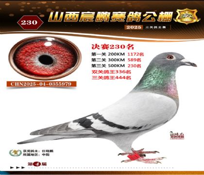 ɽ����i�Qِ230��