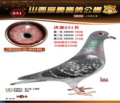 ɽ����i�Qِ231��